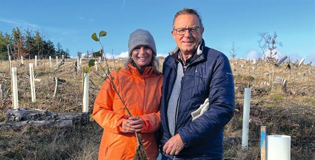 Neues Leben am Feldberg: Brigitta Brüning-Bibo organisiert mit ihrem Mann Baumpflanzaktionen im Taunus (Foto: Mathea Willmann)