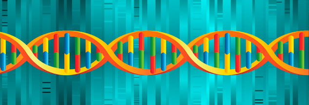 Gene als Bausteine: Bioingenieure träumen davon, ganz neue Zellsysteme zu entwickeln. (Foto: istockphoto.com/mstay)