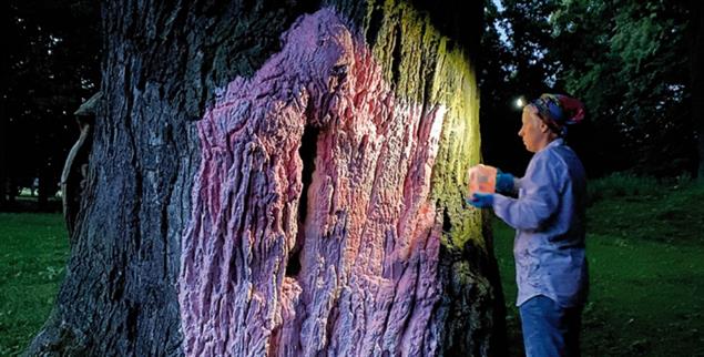 Zuflucht im Baum: In einer hohlen Eiche im Karpatenvorland in Polen versteckten sich zwei jüdische Brüder. Natalia Romik hat einen Abdruck von der Baumrinde mit dem Einstiegsloch erstellen lassen (Foto: Natalia Romik, 2021)