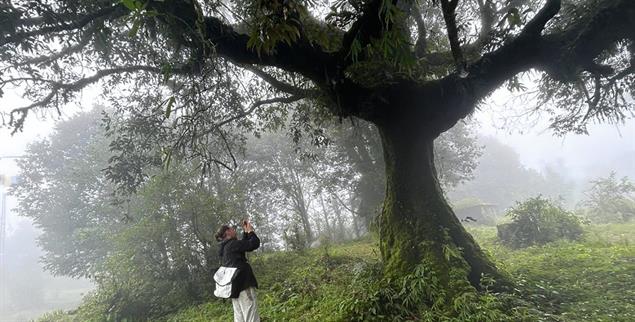 Auf der Suche nach einer neuen Verbindung: Der Autor unterwegs in Sikkim. (Foto: Simon Wiesgickl)