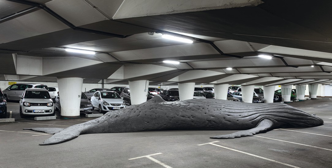 Gestrandet: Für die 14 Meter lange Skulptur, die in der Tiefgarage am Theaterplatz in Chemnitz ausgestellt ist, hat der Künstler den Abdruck eines toten Buckelwals genommen. (Gil Shachar, The Cast Whale Project, GFK-Skulptur, 14 m, Tiefgarage am Theaterplatz, Chemnitz, Foto: Kunstsammlungen Chemnitz/graukarte.info)