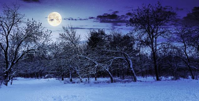 Vollmondnacht im Dezember: Die Zeit »zwischen den Jahren« ist eine besondere (Foto: istockphoto/Mike_Pellinni)