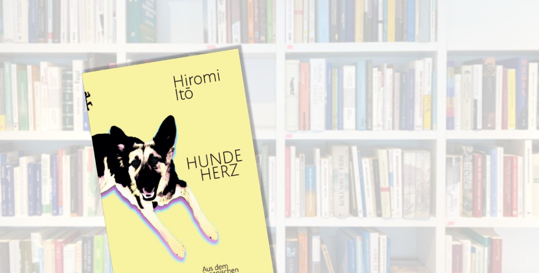 Alt, blind und schwach: Hiromi Itos geliebter Schäferhund Take wird bald sterben. Wie das sie, ihren Mann und ihre Töchter verändert, erzählt sie in ihrem Roman »Hundeherz«. (Foto: istockphoto/clu)