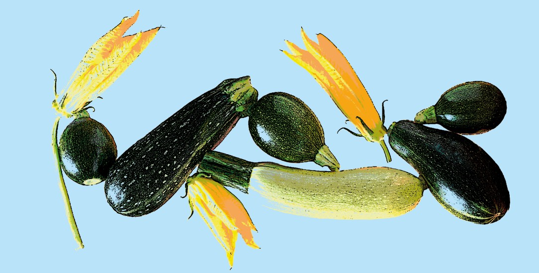 Ihre Freundinnen ernten kiloweise Zucchini und Kürbisse in ihren Schrebergärten. Unsere Kolumnistin hat es nicht so mit der Gartenarbeit. (Foto: istockphoto/Amax Photo)