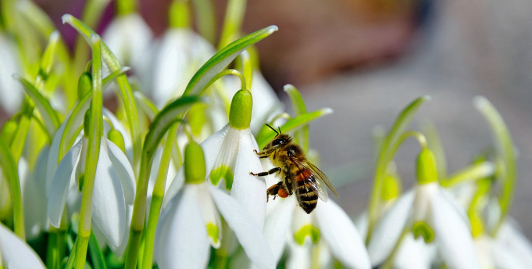 (Foto: istock by Getty / koromelena)