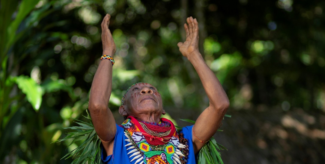 Die Kräfte der Natur anrufen: Heilungsritual eines indigenen Schamanen aus Ecuador (Foto: istock by Getty / Miranda B. Alejo)